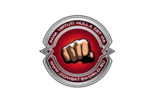 Combats - создание логотипа проекта.