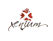  Разработка логотипа Xenium.