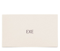 «EXE» - Разработчик программного обеспечения. Разработка названия. Логотип.
